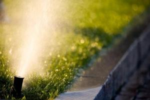 we aim sprinkler heads to avoid wasted water